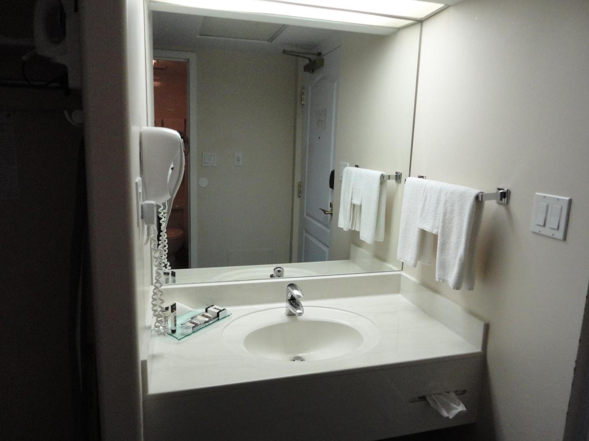 Chateau Louis Hotel & Conference Centre Едмънтън Екстериор снимка